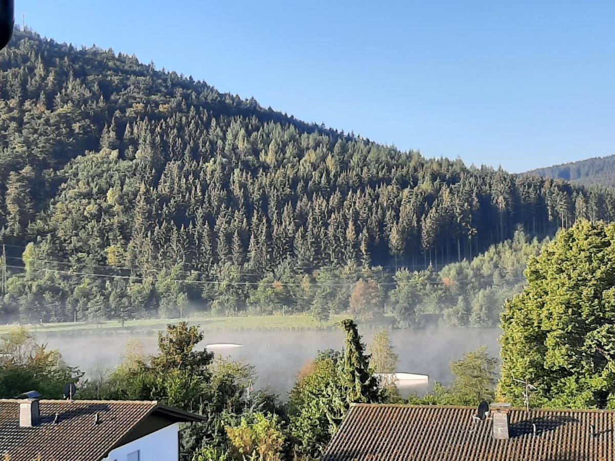 Ferienwohnung Zeitlos, Gigantischer Seeblick, Wlan, Gerne Mit Hund Winterberg Exterior photo