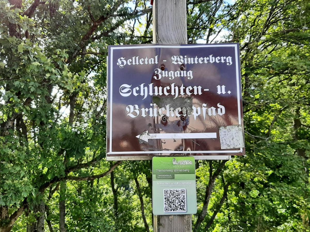 Ferienwohnung Zeitlos, Gigantischer Seeblick, Wlan, Gerne Mit Hund Winterberg Exterior photo